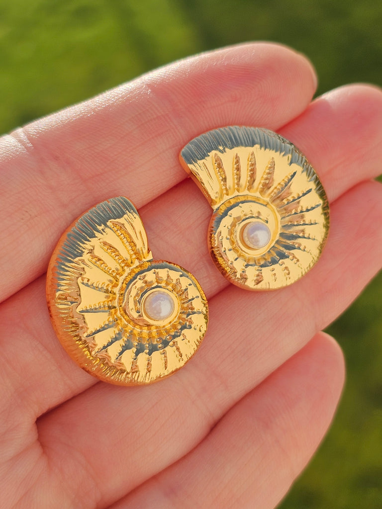 Stainless steel seashell earrings